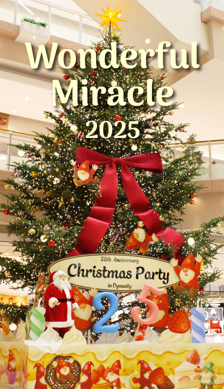 Wonderful miracle 2025